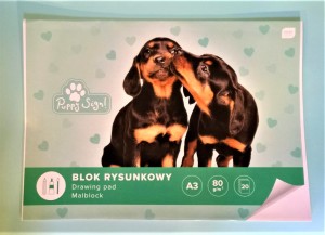 Blok rysunkowy A3 INTERDRUK