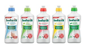 Płyn do naczyń LUDWIK 0,9l (1szt)