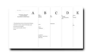 TAO Przekładka E (10szt) (0822025)