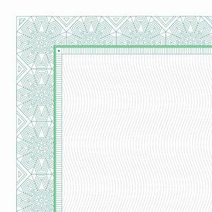 Certyfikat 170g dz253-1