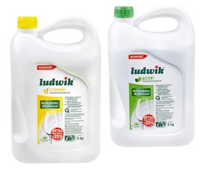 Płyn do naczyń LUDWIK 5l (1szt)